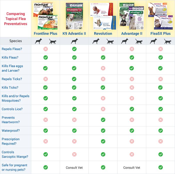 Choosing the Best Topical Flea Prevention