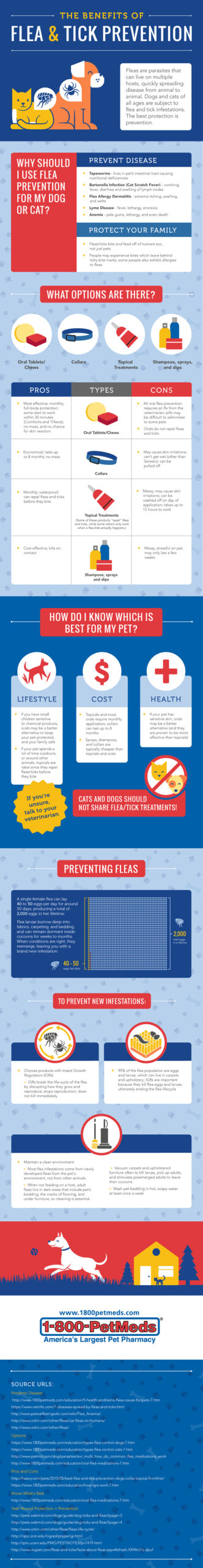 Which Is the Best Flea Prevention for Your Dog?