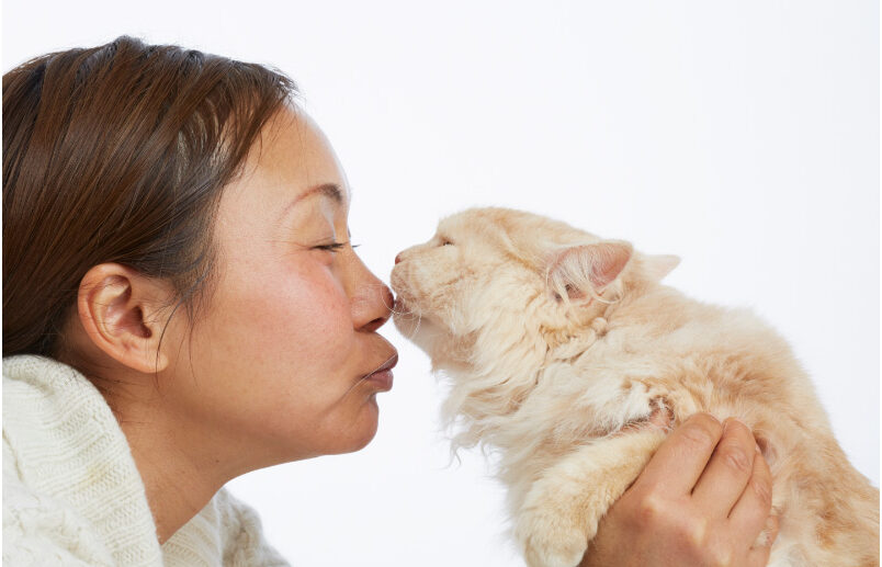 Bad Breath Remedies for Cats