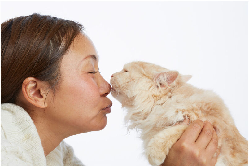 Bad Breath Remedies for Cats