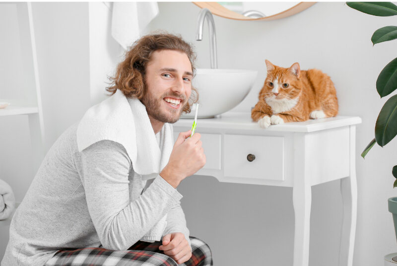 The Importance of Brushing Your Cat’s Teeth