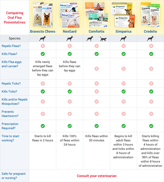 Choosing the Best Oral Flea Prevention