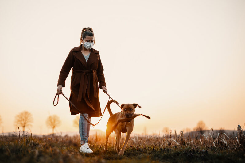 10 Essential Tips for Professional Dog Walkers