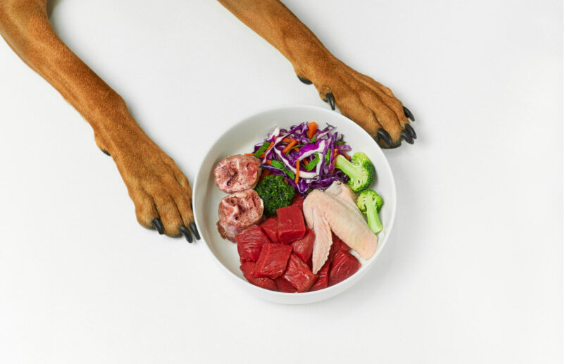 Is Raw Feeding Good For Dogs?