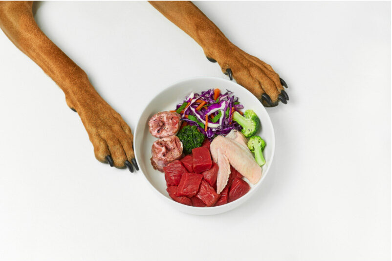 Is Raw Feeding Good For Dogs?