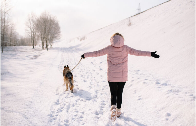 7 Must-Try Winter Dog Walk Hacks