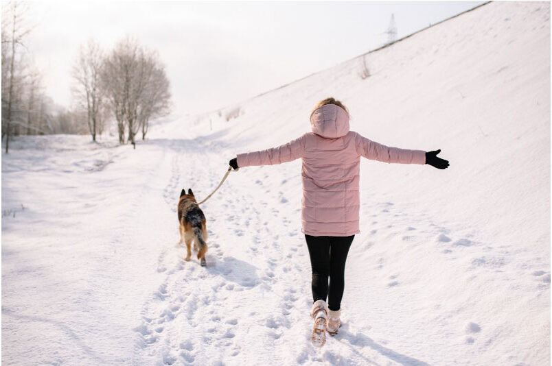 7 Must-Try Winter Dog Walk Hacks