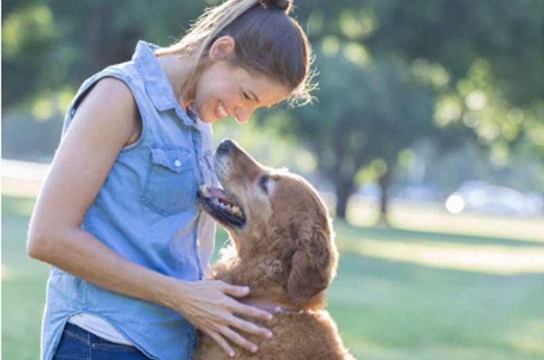 10 Ways To Help Your Dog Live A Long, Happy, Healthy Life