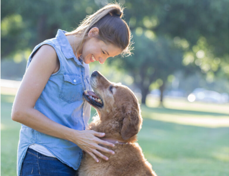 10 Ways To Help Your Dog Live A Long, Happy, Healthy Life