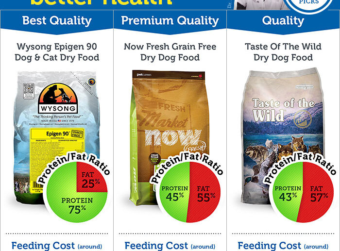 Our Vet’s Favorite Dog Food & Ratings