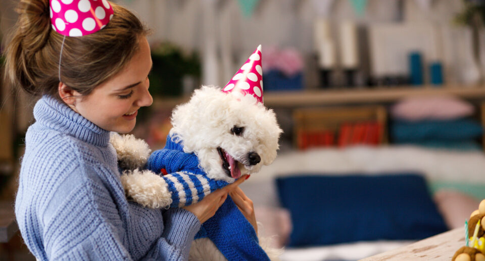 8 Ways To Celebrate Your Dog’s Birthday