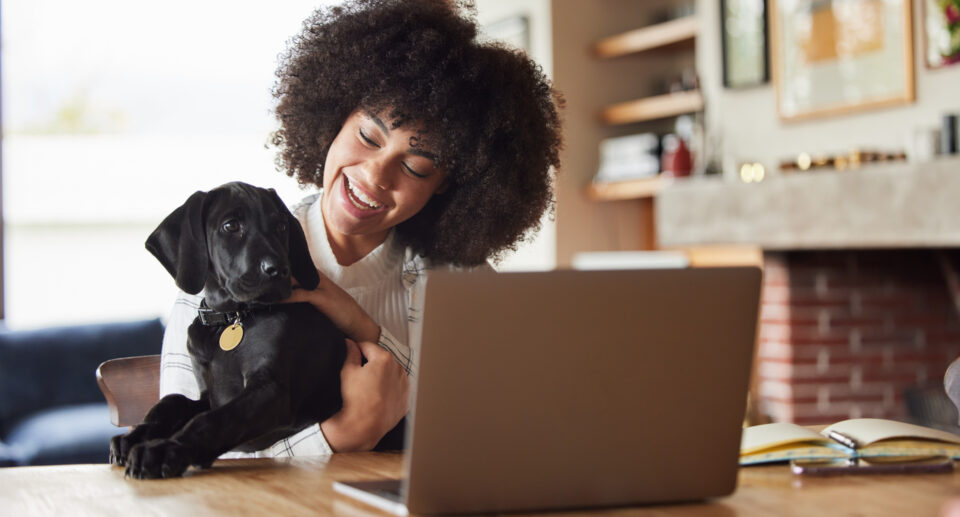 Are Virtual Vet Visits Worth It? 10 Reasons To Make An Online Vet Appointment Today