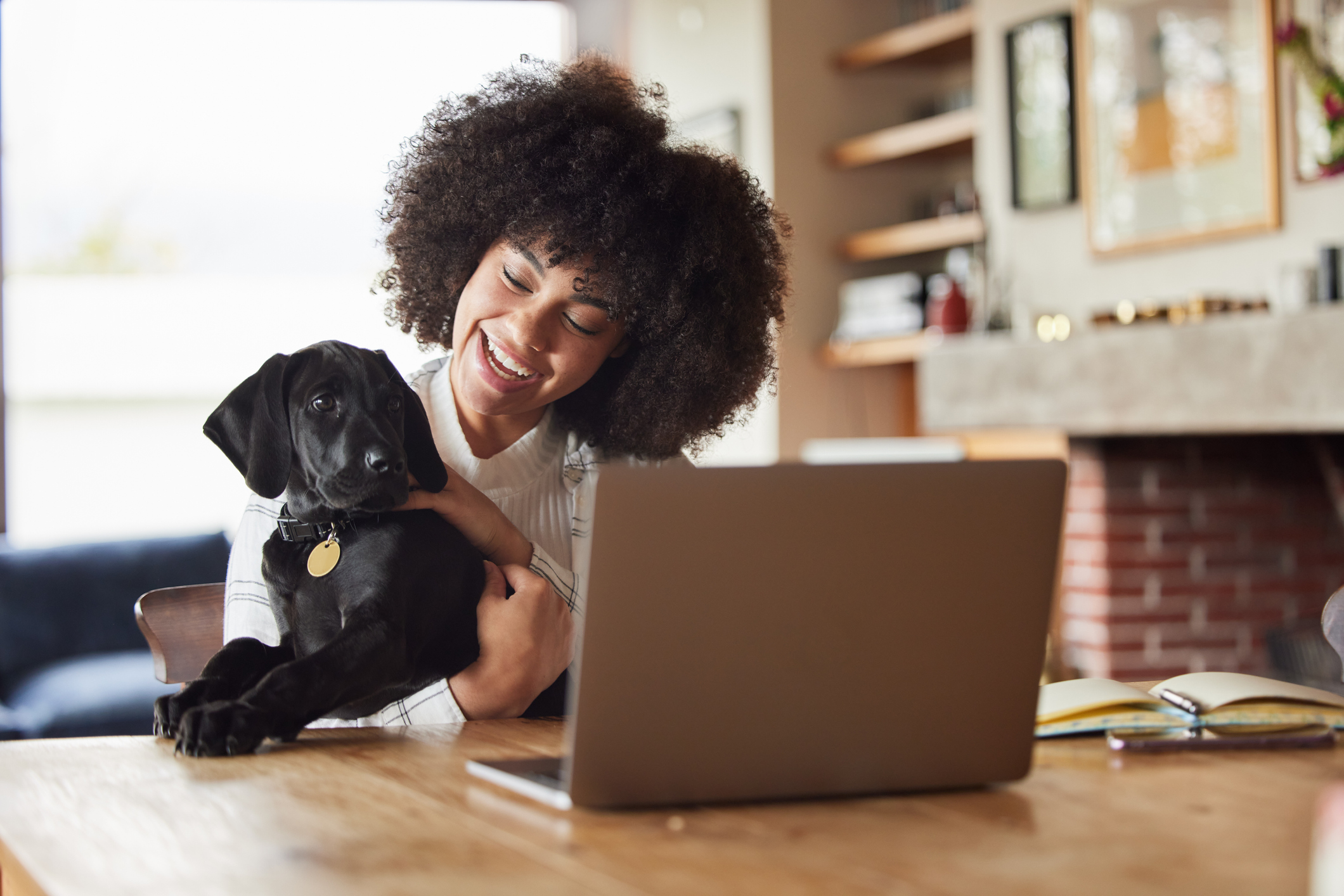 Are Virtual Vet Visits Worth It? 10 Reasons To Make An Online Vet Appointment Today