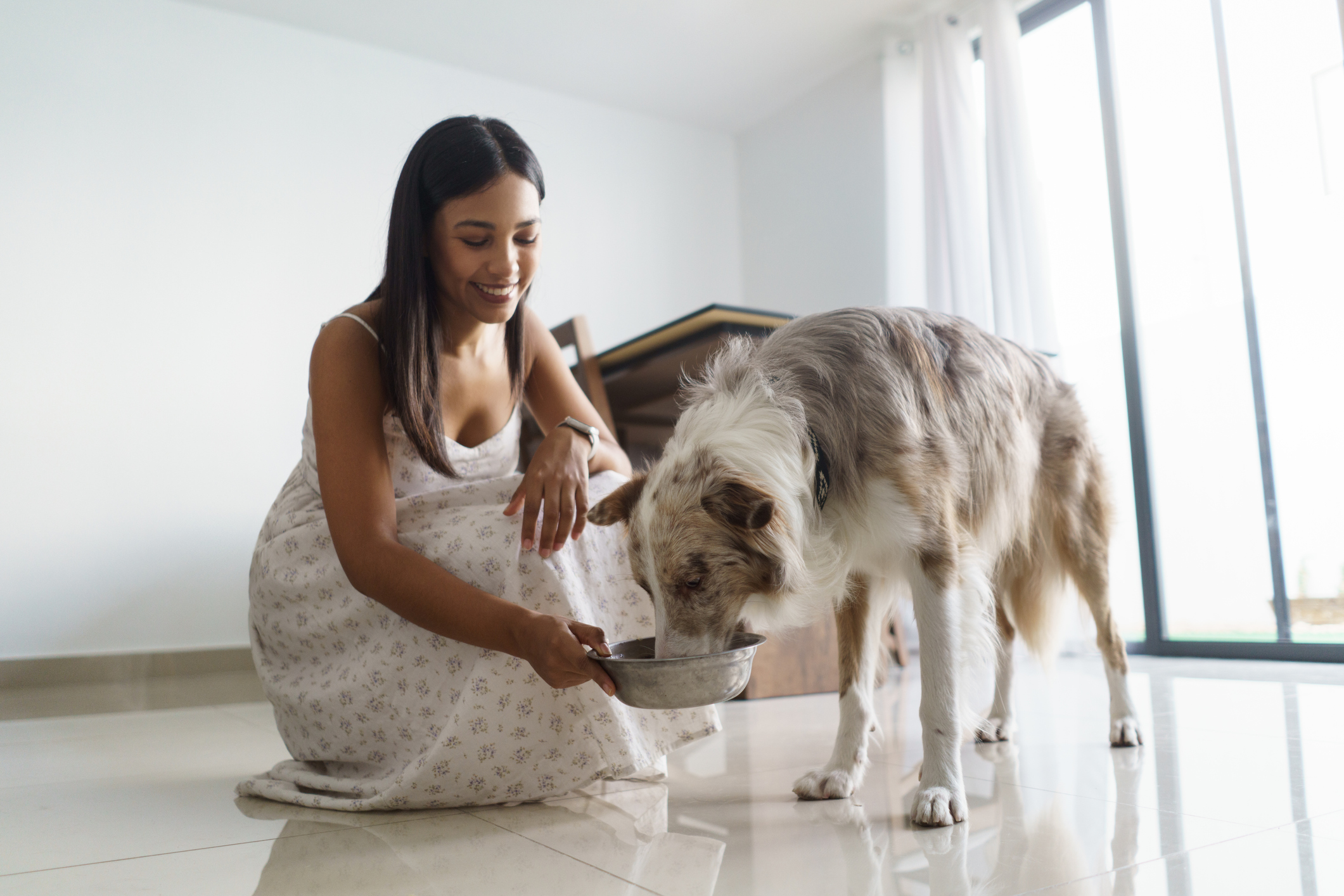 5 Unexpected Benefits of Bone Broth for Dogs