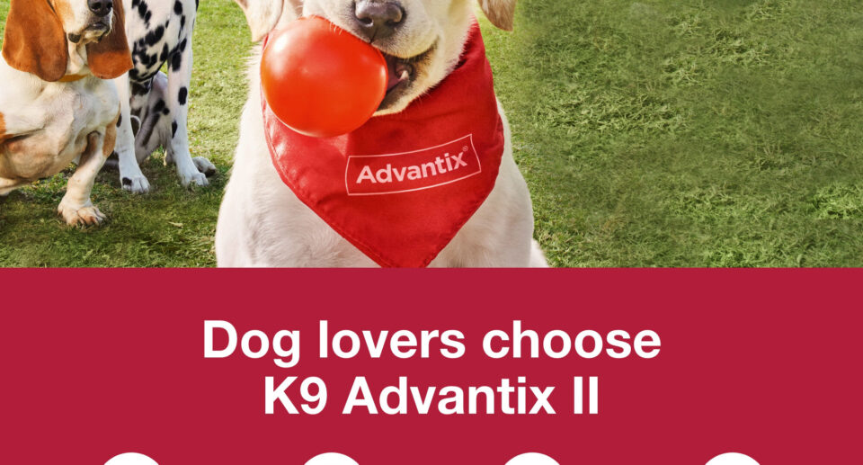 K9 Advantix II FAQ