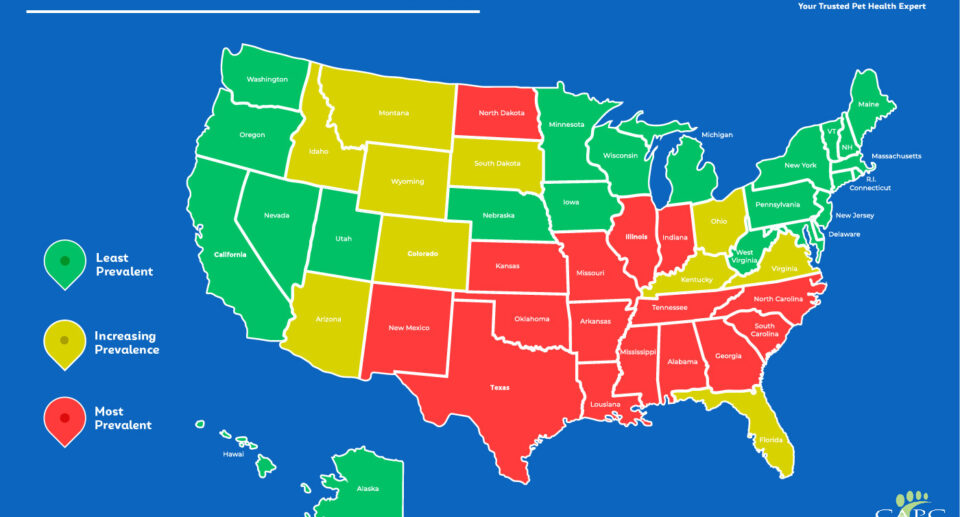 Where is Heartworm Disease Most Prevalent?