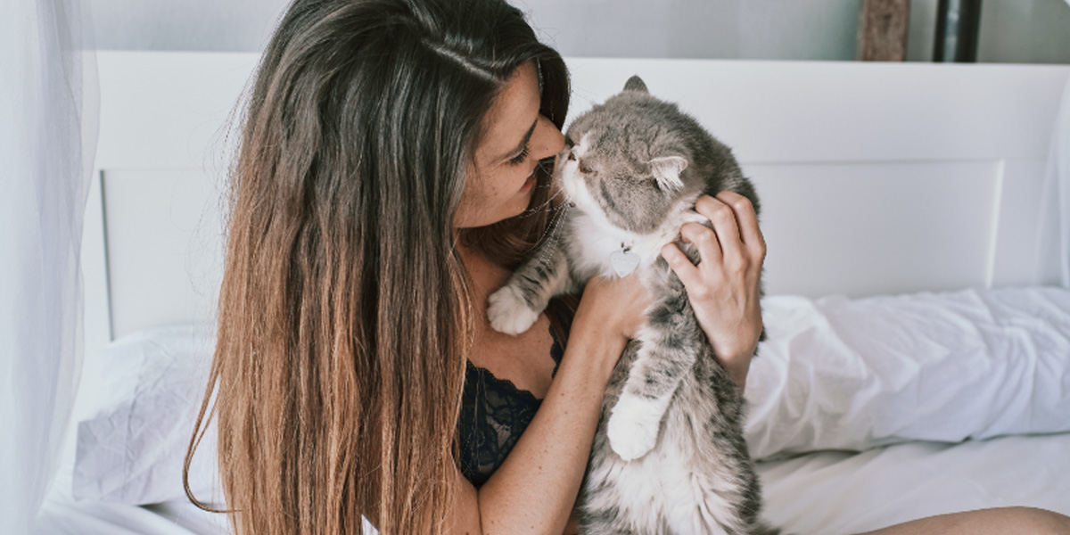 Reduce Your Cat’s Anxiety and Stress