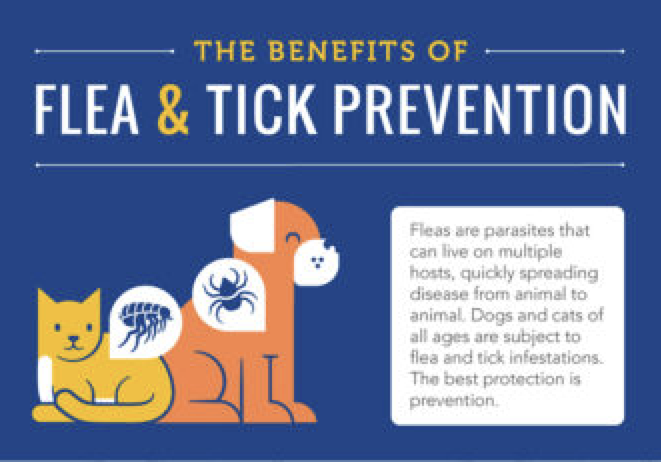 Which Is the Best Flea Prevention for Your Dog?