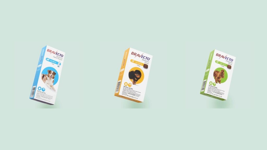 Three different sized Bravecto boxes float against a mint green background, showing the range of flea and tick protection options