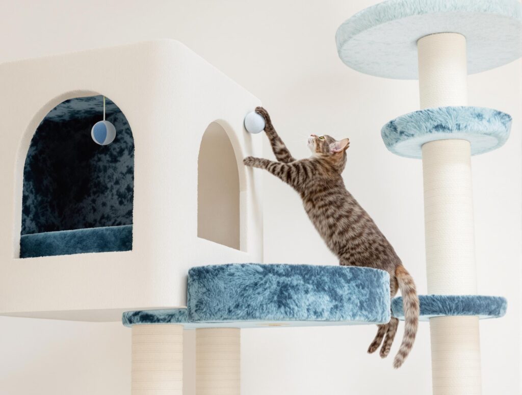 Playful domestic cat climbing a modern multi-level cat tower with sleek design and interactive toy, highlighting benefits of cat furniture.