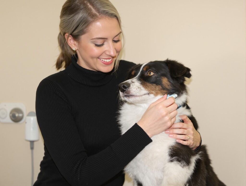 A caregiver gently administering a pill to a black and white dog in a veterinary setting.
