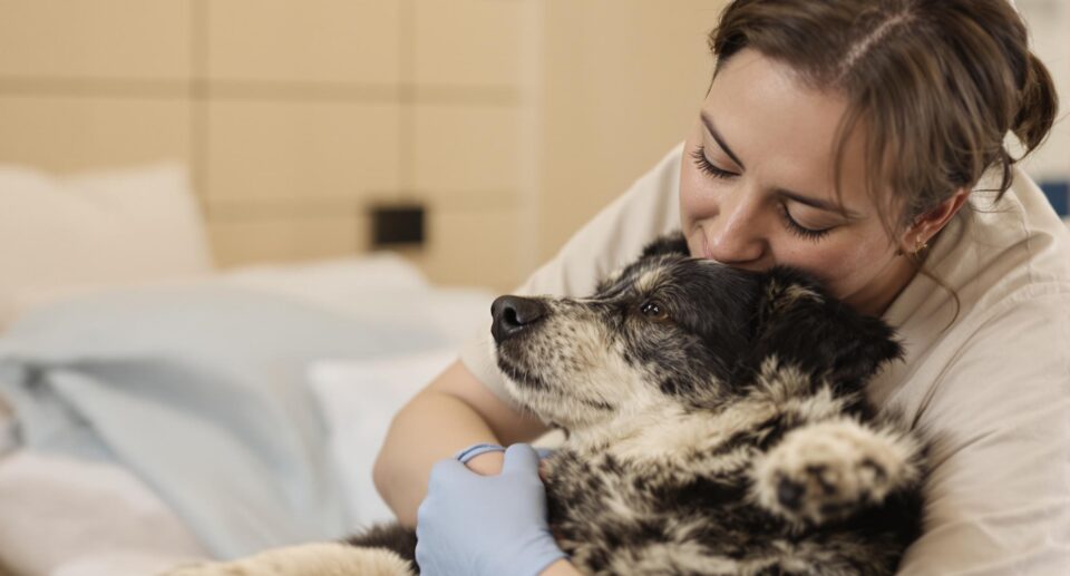 How to Treat Seizures in Dogs