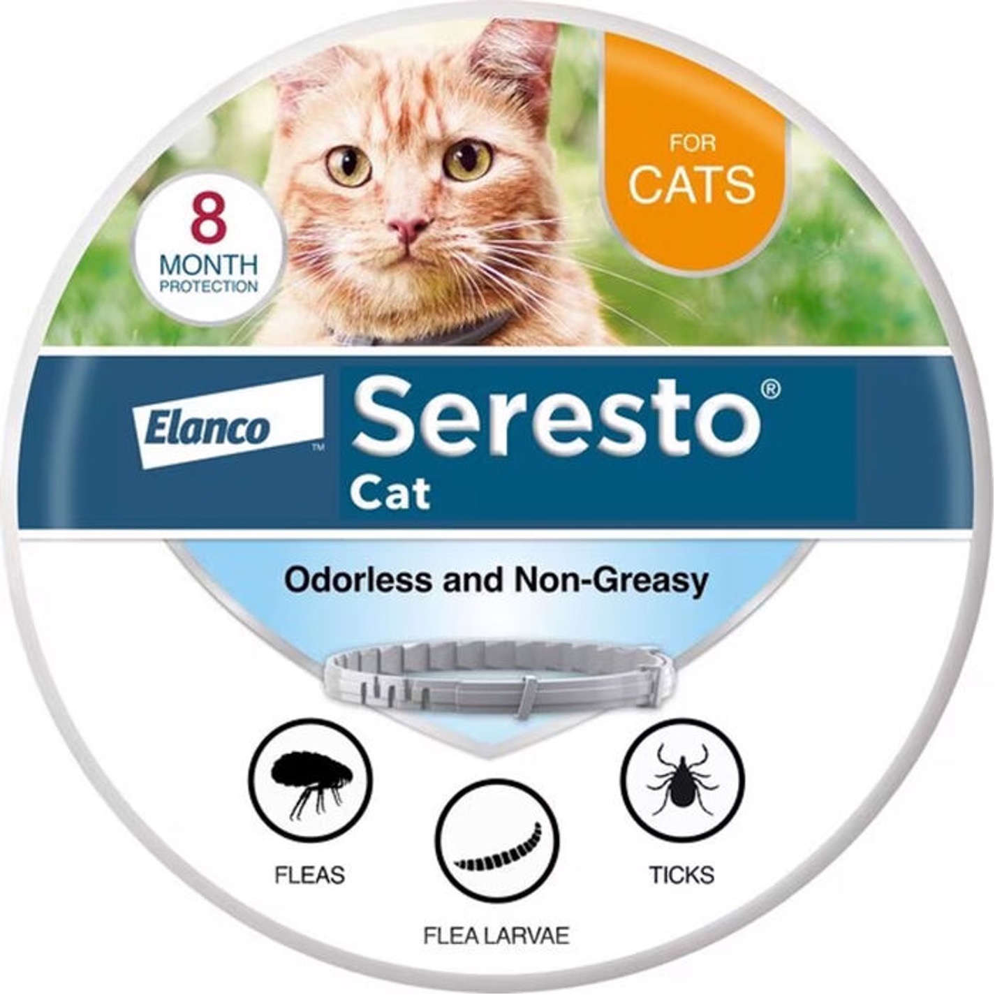 Affordable Flea Treatment for Cats - Pet Health MD