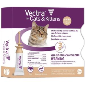 Gallery Detail: Affordable Flea Treatment For Cats