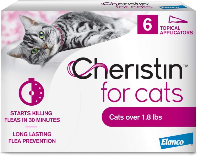 Best Flea Treatment for Cats: 6 Options to Try - PetHealthMD - Over-The-Counter Flea Medication For Cats With Seborrhea
