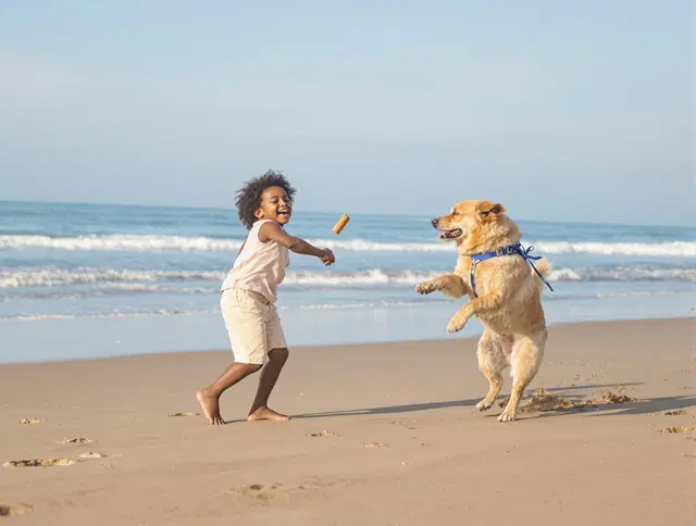 Boy playing fetch with a dog at the beach