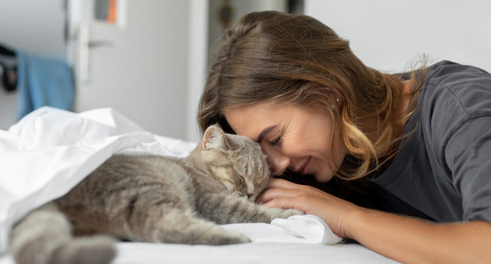 Cat owner putting their head lovingly on the head of their grey cat