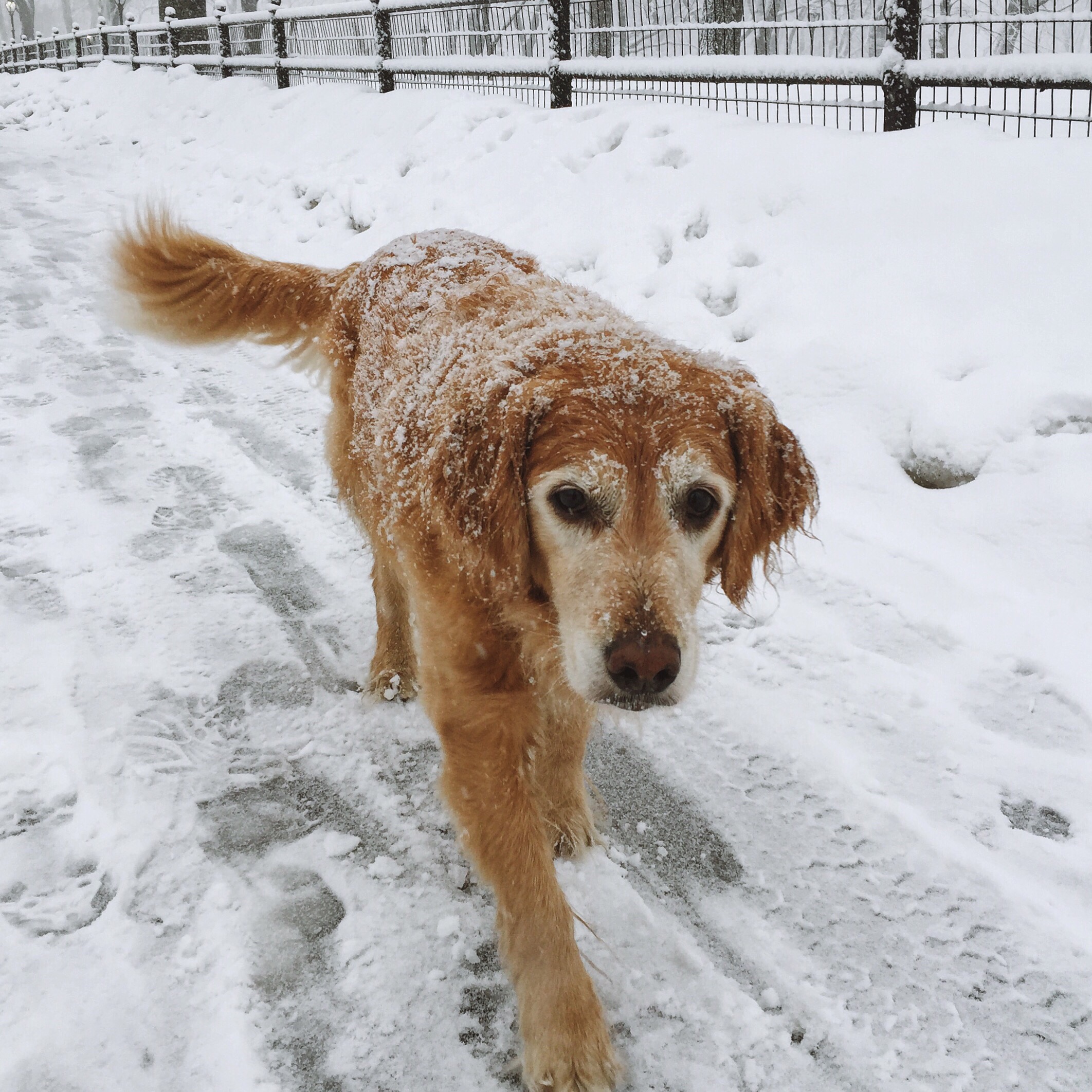 Joint Pain & Mobility Support in Colder Weather