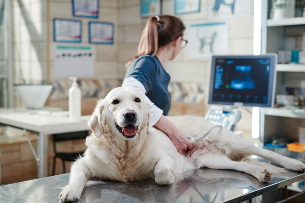 pet pharmacy