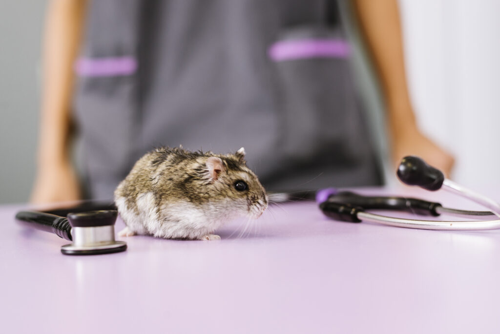 veterinary medicine